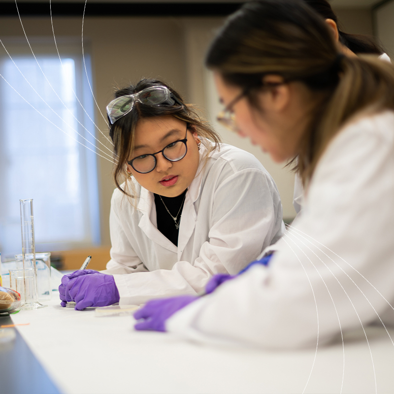 Two students in lab coats and gloves working together on an experiment.