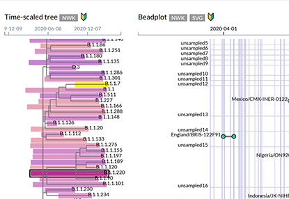 Screen shot of software program showing connected tree of virus variants