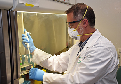 Dr. Douglas Fraser in the lab pipetting with a mask on