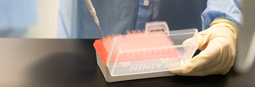 Image of pipetting inside the ImPaKT Facility
