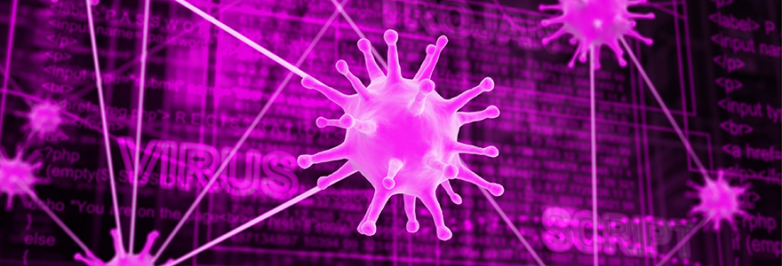 graphical images of virus with software images in the background