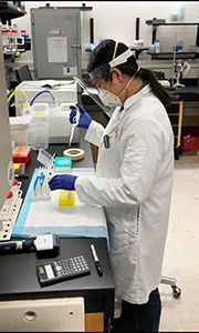 Angela Huynh working in the lab at McMaster University