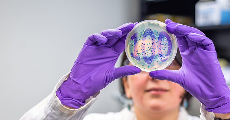 Biochemistry – Celebrating a century of groundbreaking research ...