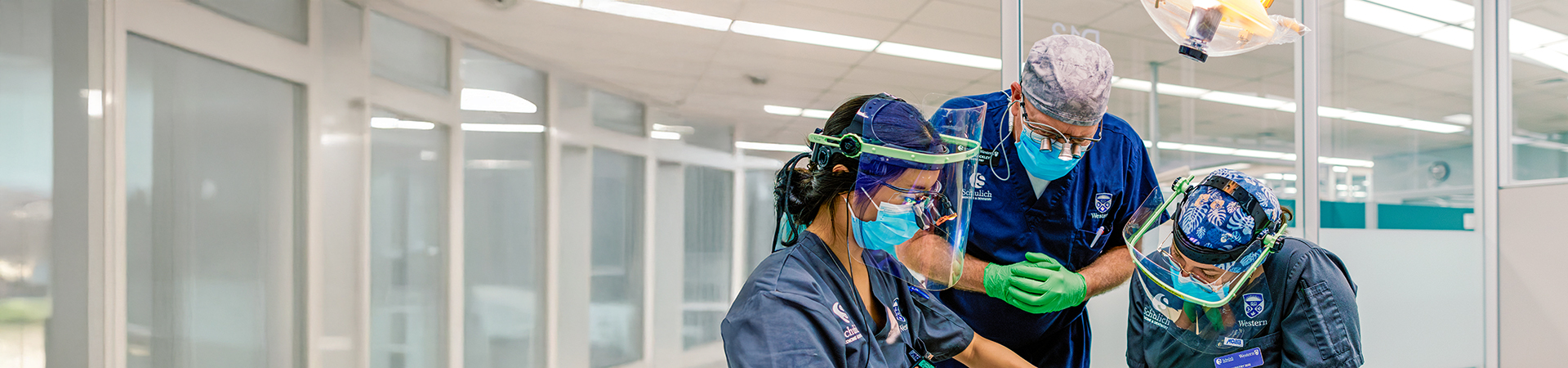 Doctors of Dental Surgery Discussing