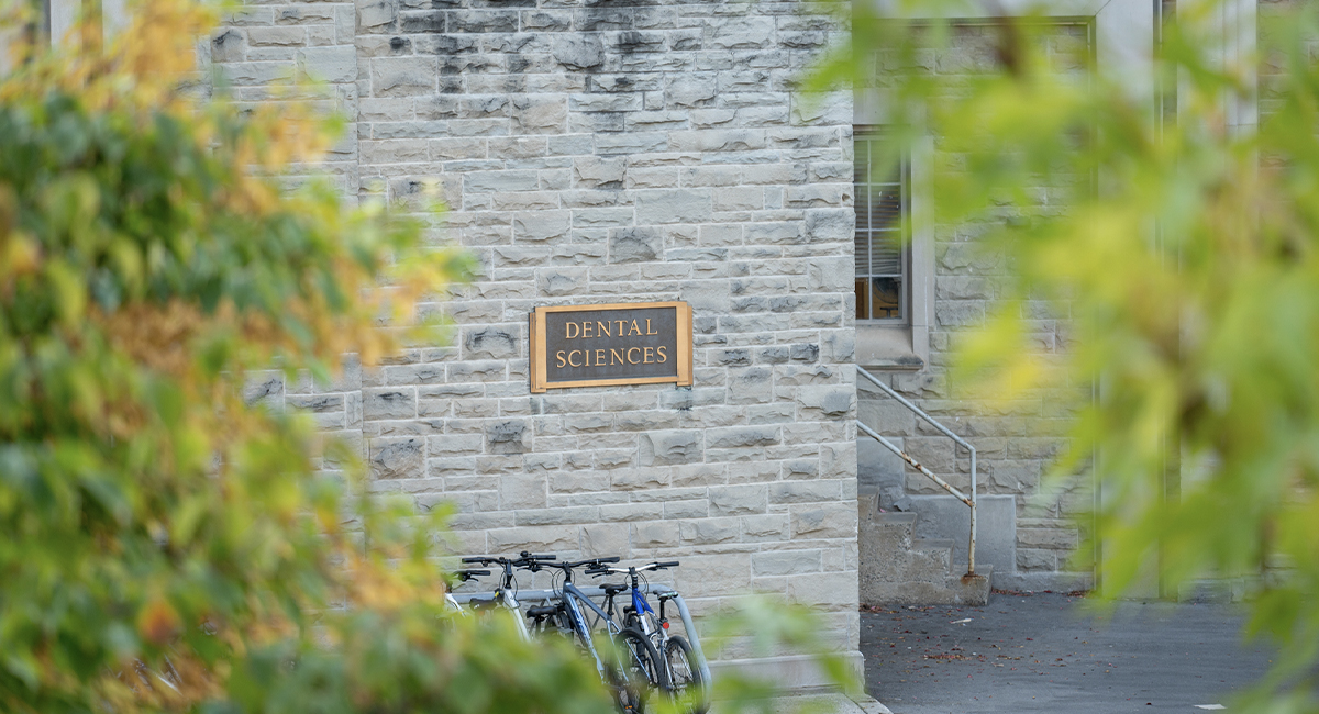 Bicycles parked beside a stone building wall with a plaque