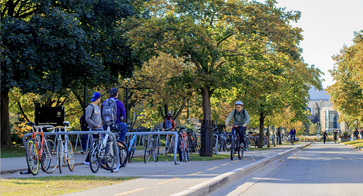 Students and bicycles along a tree-lined campus path