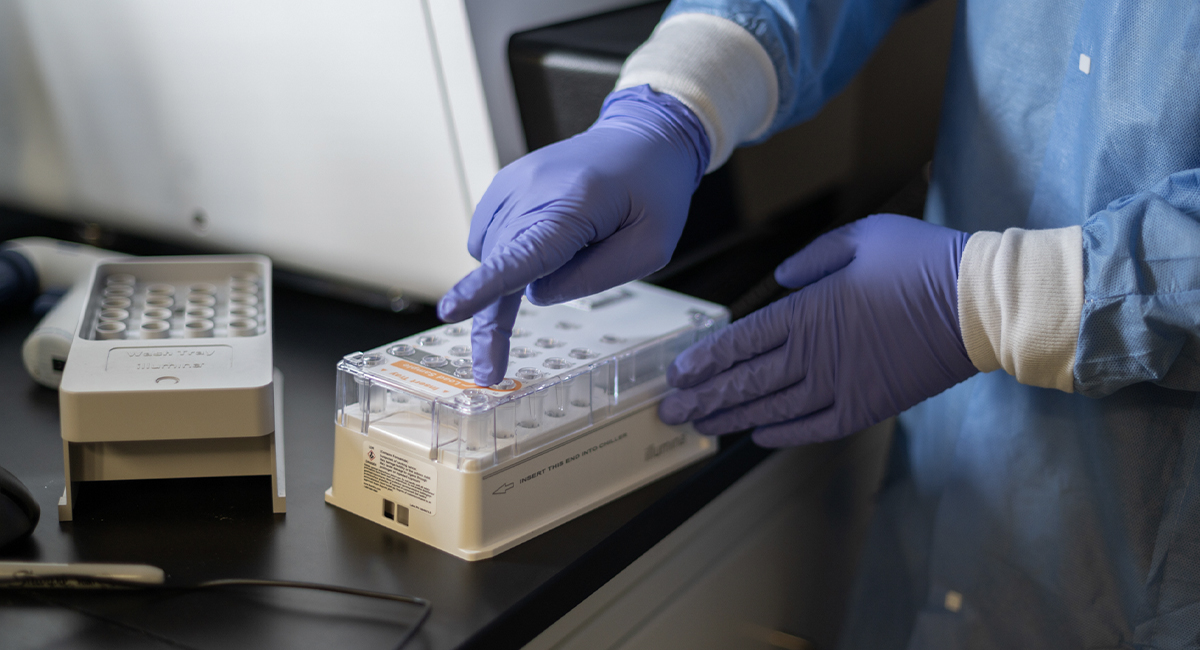 Gloved hands handling a laboratory sample tray