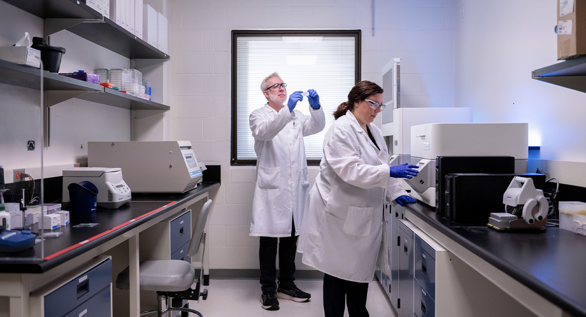 Researchers working at a lab bench with equipment