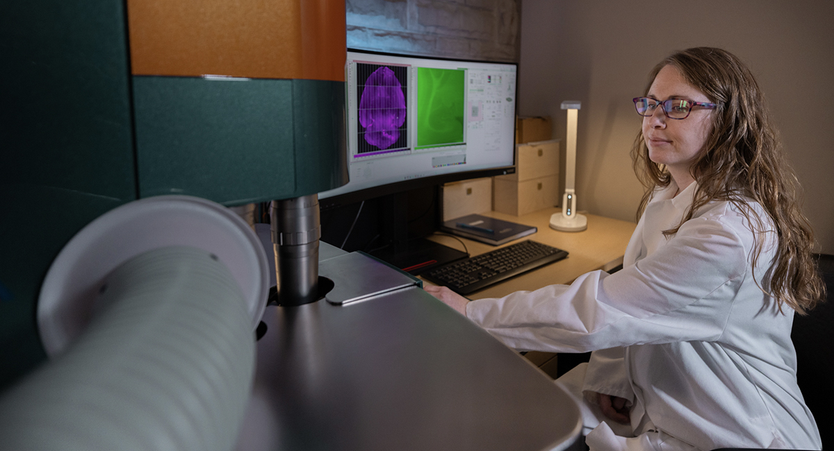 Researcher at a workstation reviewing scan images