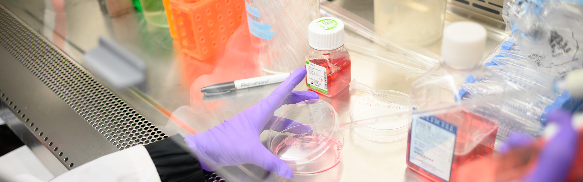 Master's in Interdisciplinary Medical Sciences