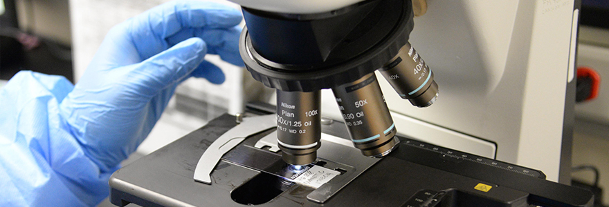 Photograph of a hand holding a microscope.