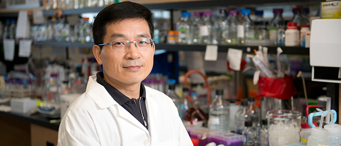 Contact Dr. Shawn Li 