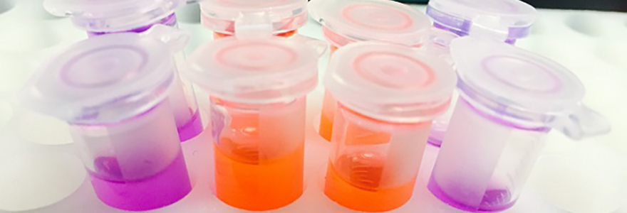 Photograph of instruments