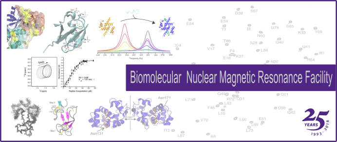 biomolecular nmr assignment