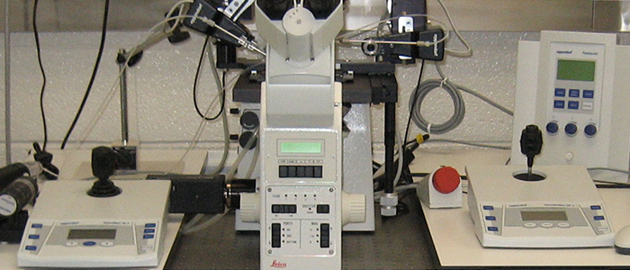 Gene Targeting London Regional Transgenic and Gene Targeting Facility