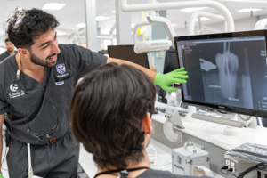 students examining x-ray