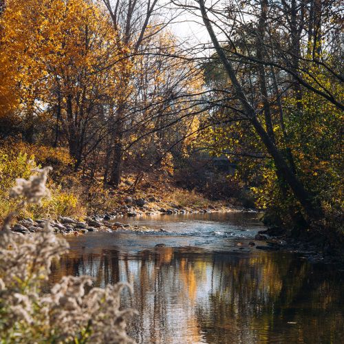 western river 500x500
