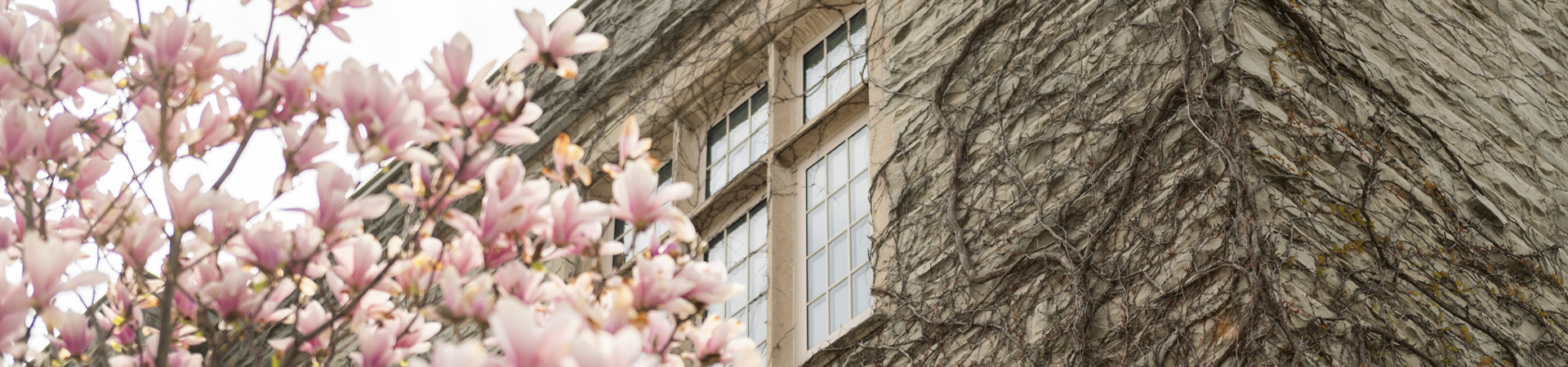 Confidential resources and support services for residents and fellows..