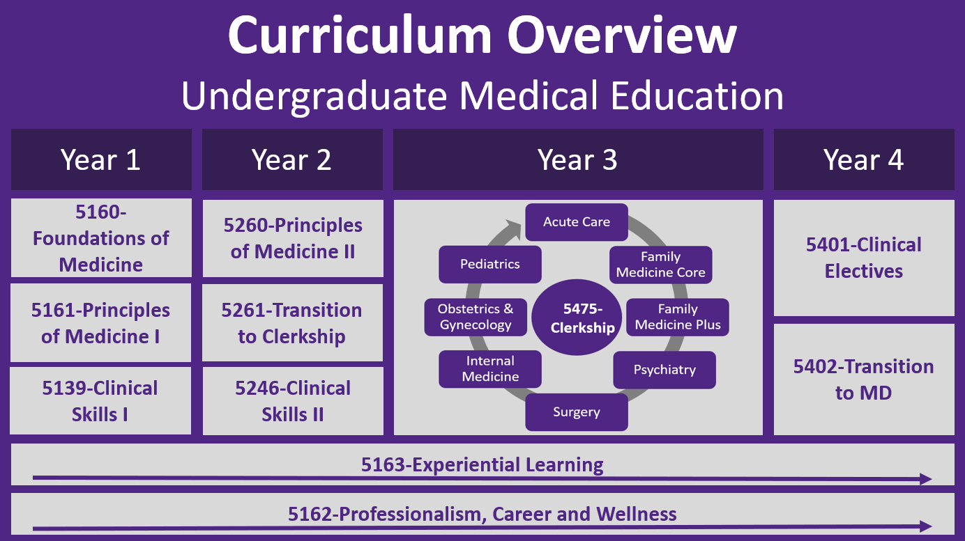 UME curriculum overview