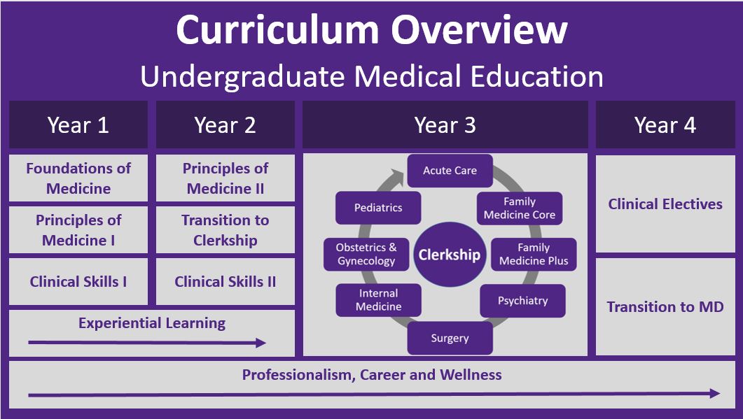 Infographic of 4-year curriculum