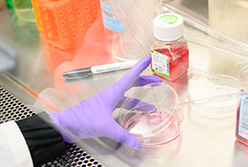 Photograph of a hand holding a lab dish