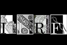 IIRF Infection and Immunity Research Forum Logo