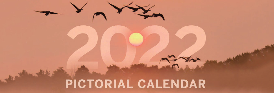 pictorial_calendar_2022.jpg