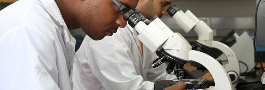 Facilities Management