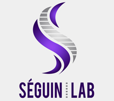Seguin Lab Logo