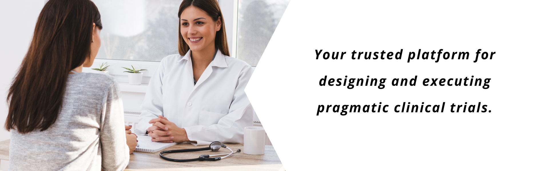 Put new alt tag here