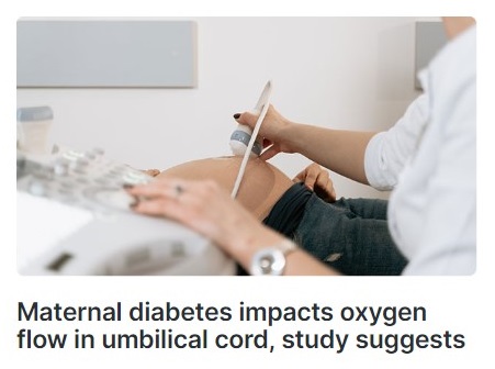 The impact of maternal diabetes on birth to placental weight ratio and umbilical cord oxygen values with implications for fetal-placental development
