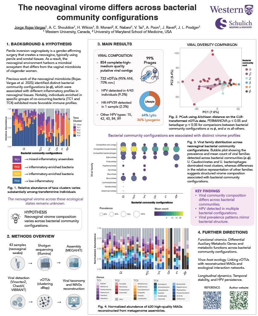 The neovaginal virome differs across bacterial community configurations Jorge Rojas-Vargas