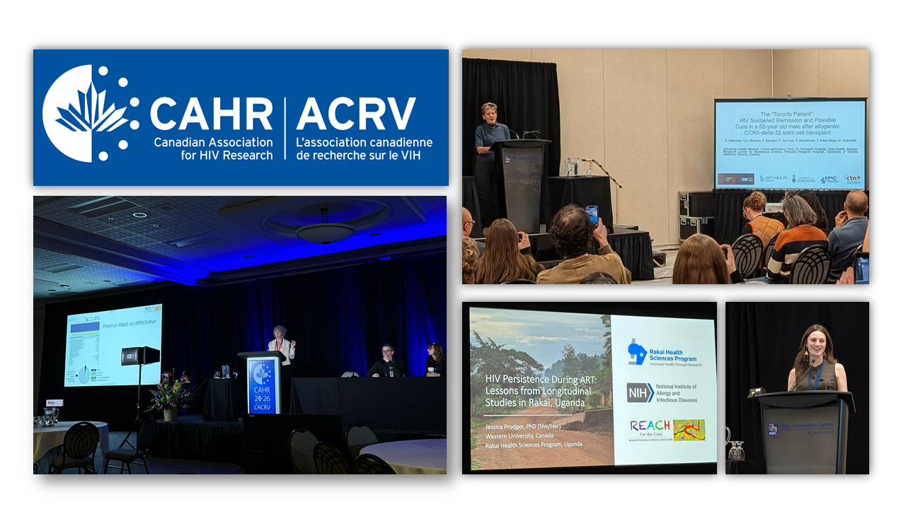 Summer news CAHR