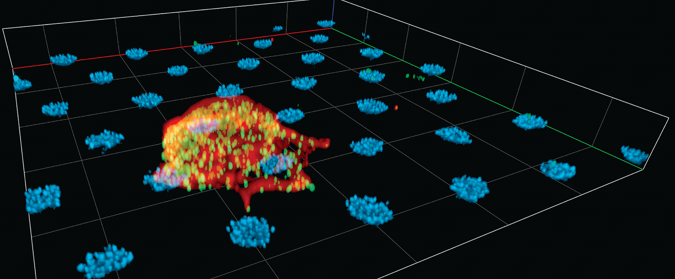 3D microscopy reconstruction of a red macrophage engulfing a dying cell amid a field of blue cell clusters