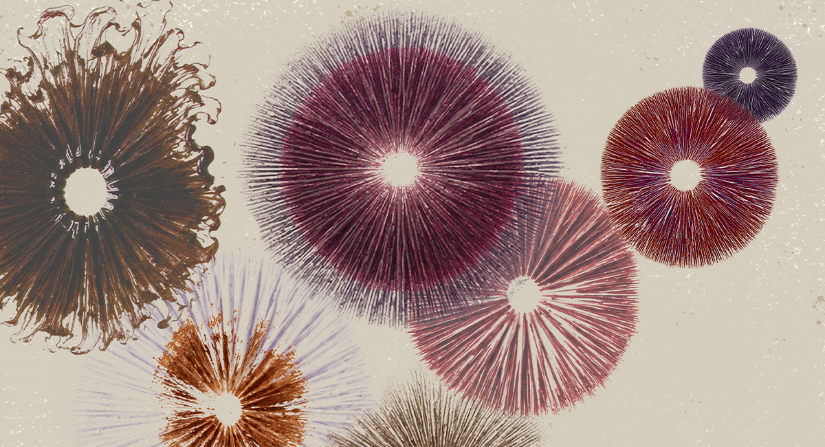 Illustration of colourful mushroom spore prints arranged in a cluster