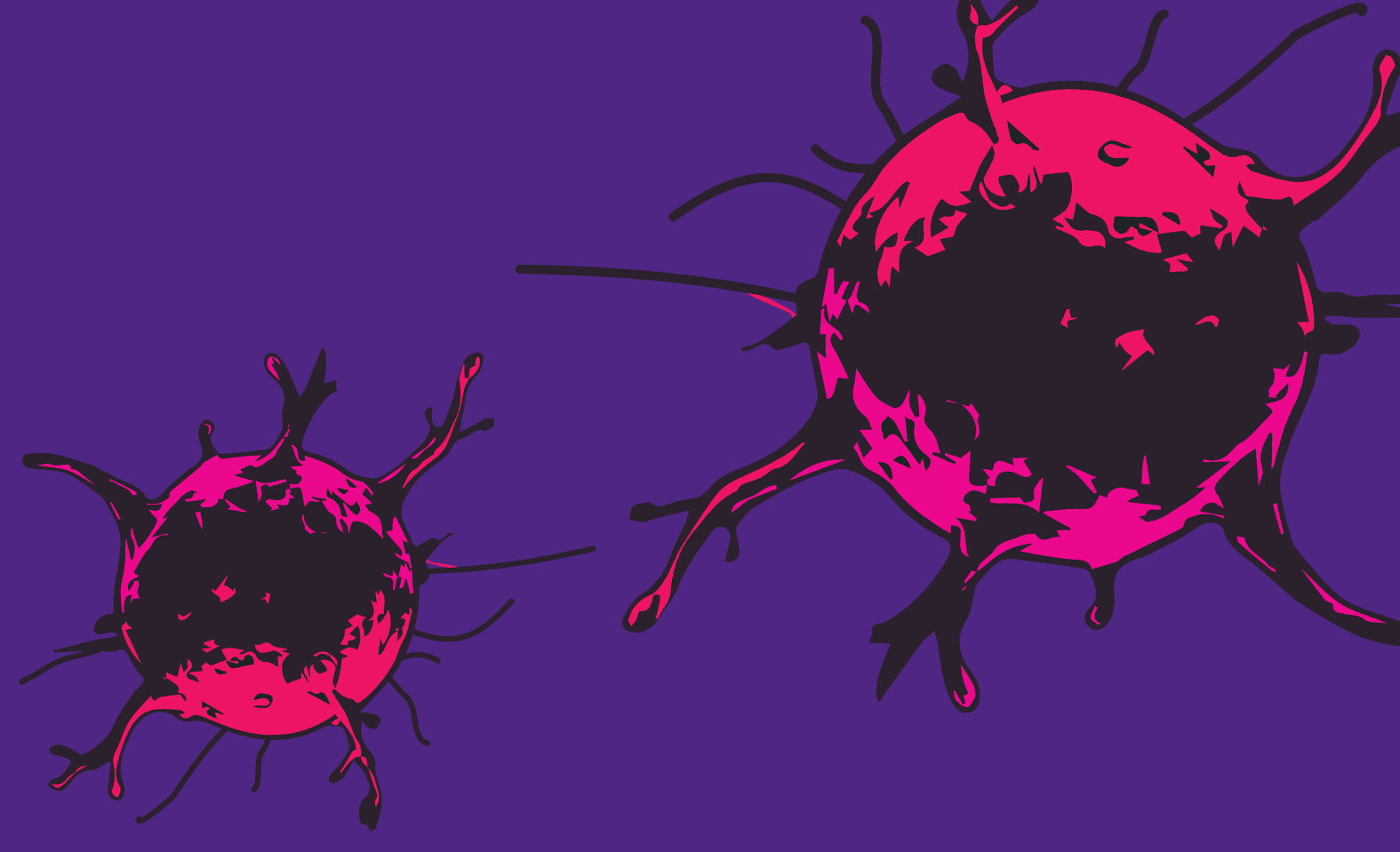 Rapport 2025 - Bold Science