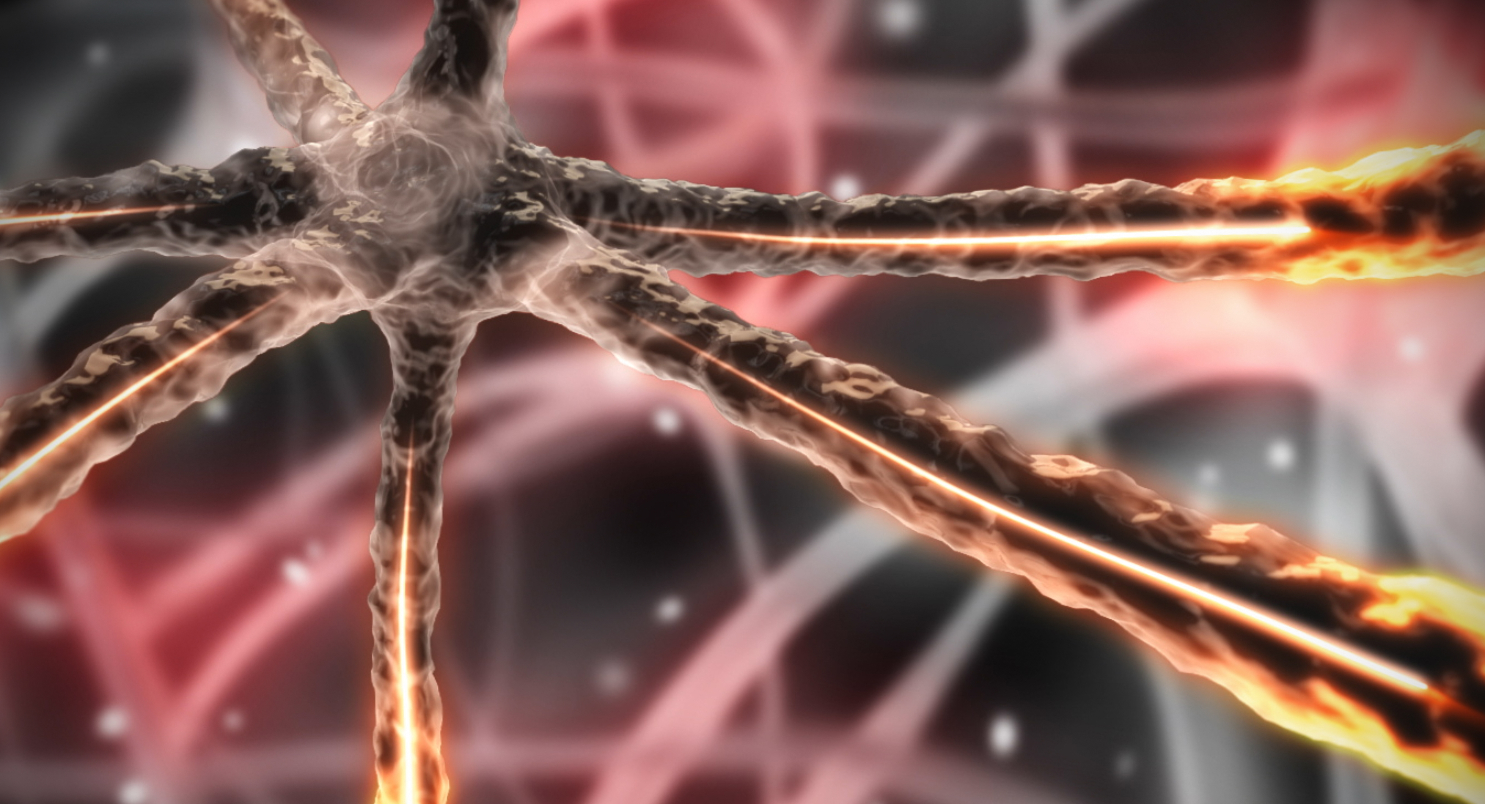 advanced neural circuits