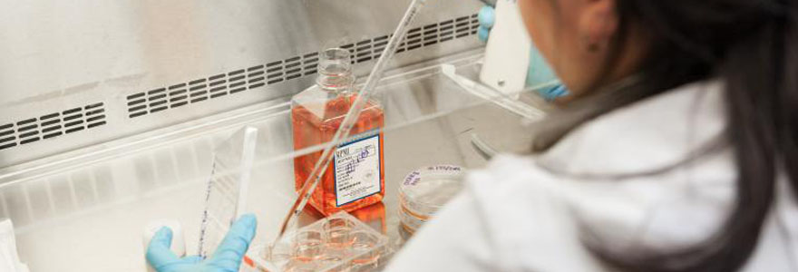 Researcher using pipette