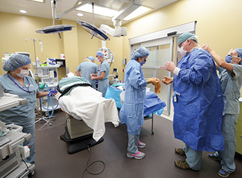 Dentistry surgical care unit