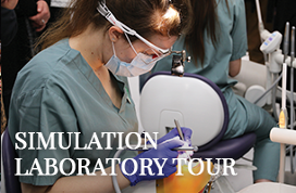 Simulation Laboratory Lab